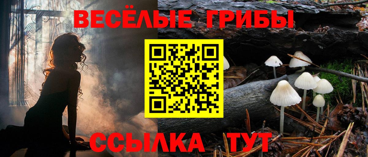 Вятские Поляны  продажа наркотиков  Вход с VPN  Галлюциногенные грибы Psilocybe  Галлюциногенные грибы Cubensis 